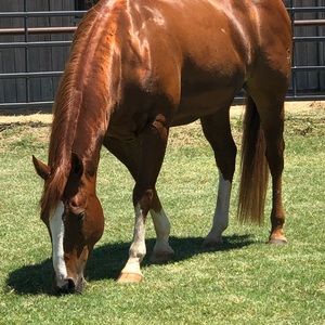 Meet your Posher, Tammy